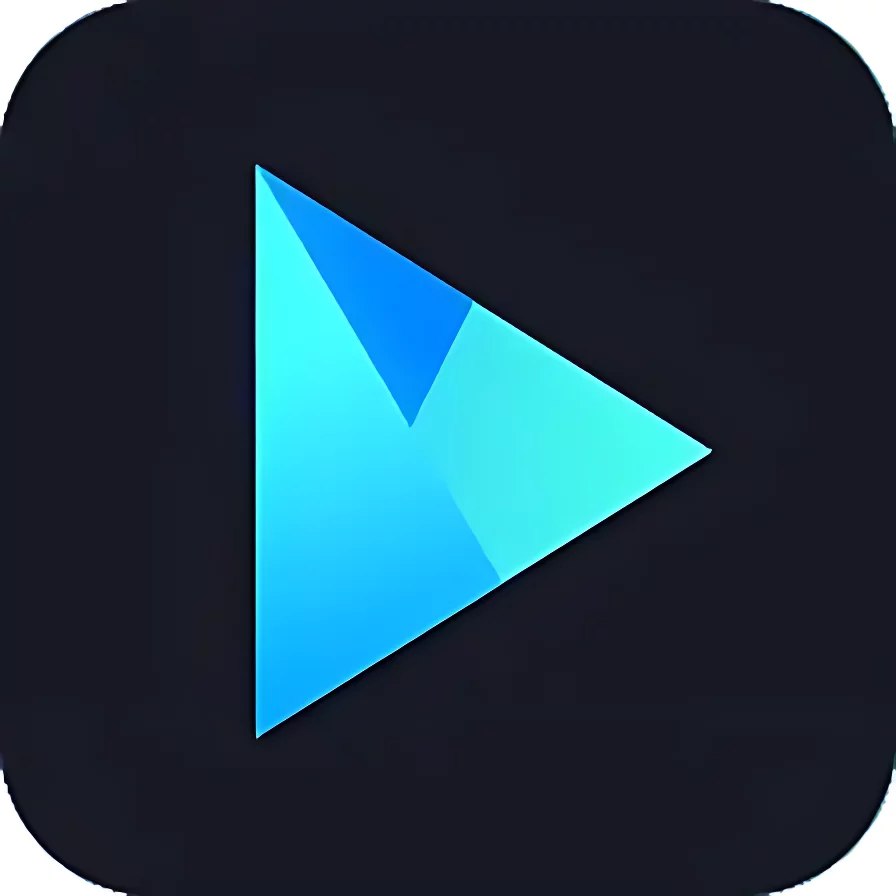 Vidmore Player v1.1.66 Free Download (Full Version)