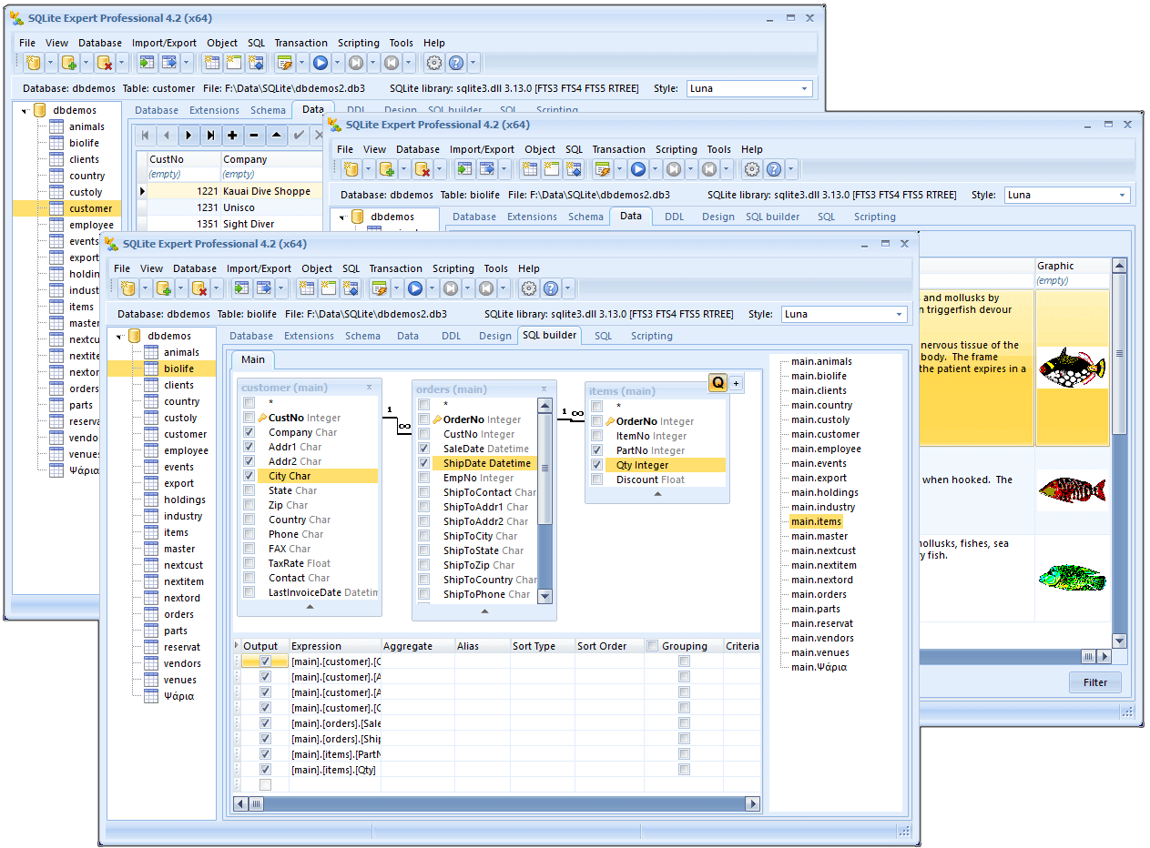 SQLite Expert Professional