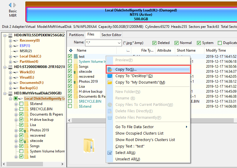 DiskGenius Professional Full Version