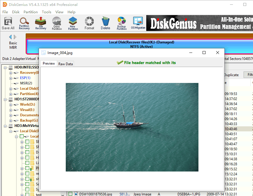 DiskGenius Professional Full Version